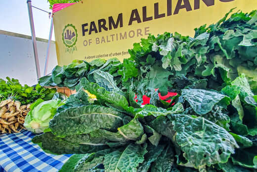 Farm Alliance of Baltimore - farmer's market stall with leafy greens