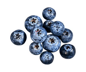 Dried blueberries