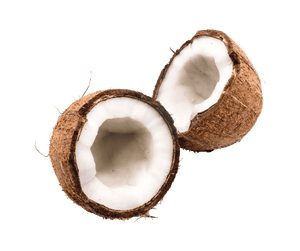 Coconut