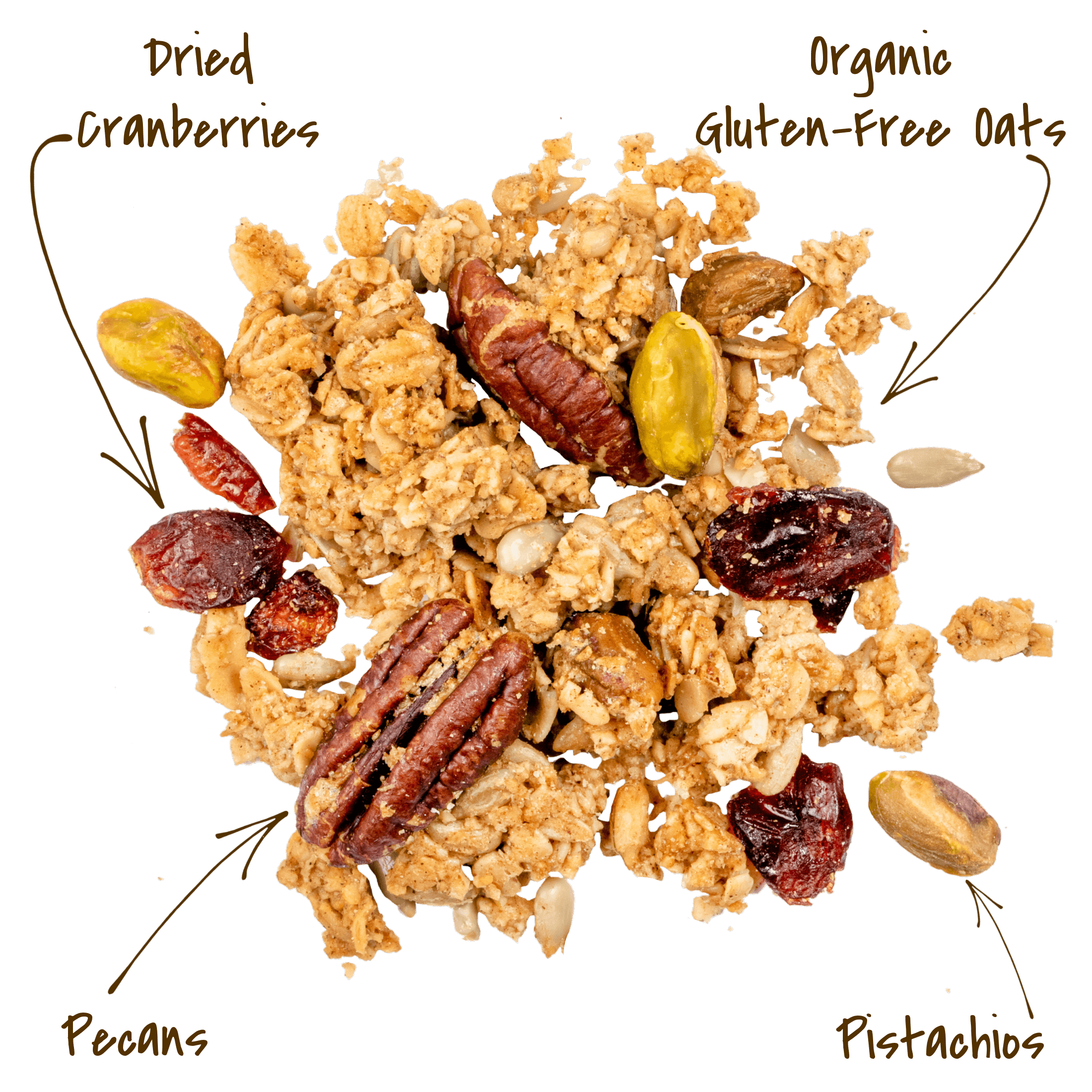 Michele's Cranberry Pecan Granola cluster